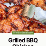 Version 3 pin for Grilled BBQ Chicken.