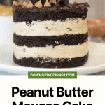 Version 3 pin for Peanut Butter Mousse Cake.