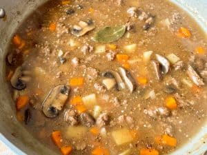 Finished ground beef stew.