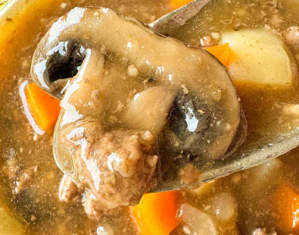Mushroom an ground beef in a spoon.