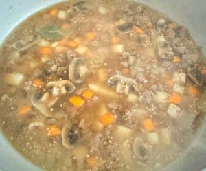 Ground beef stew simmering with carrots, potatoes, and mushrooms.