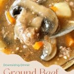 Pin for Ground Beef Stew.