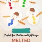 Pin for Melted Snowman Bark.